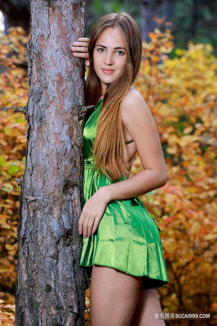 小蝌蚪大全_小蝌蚪